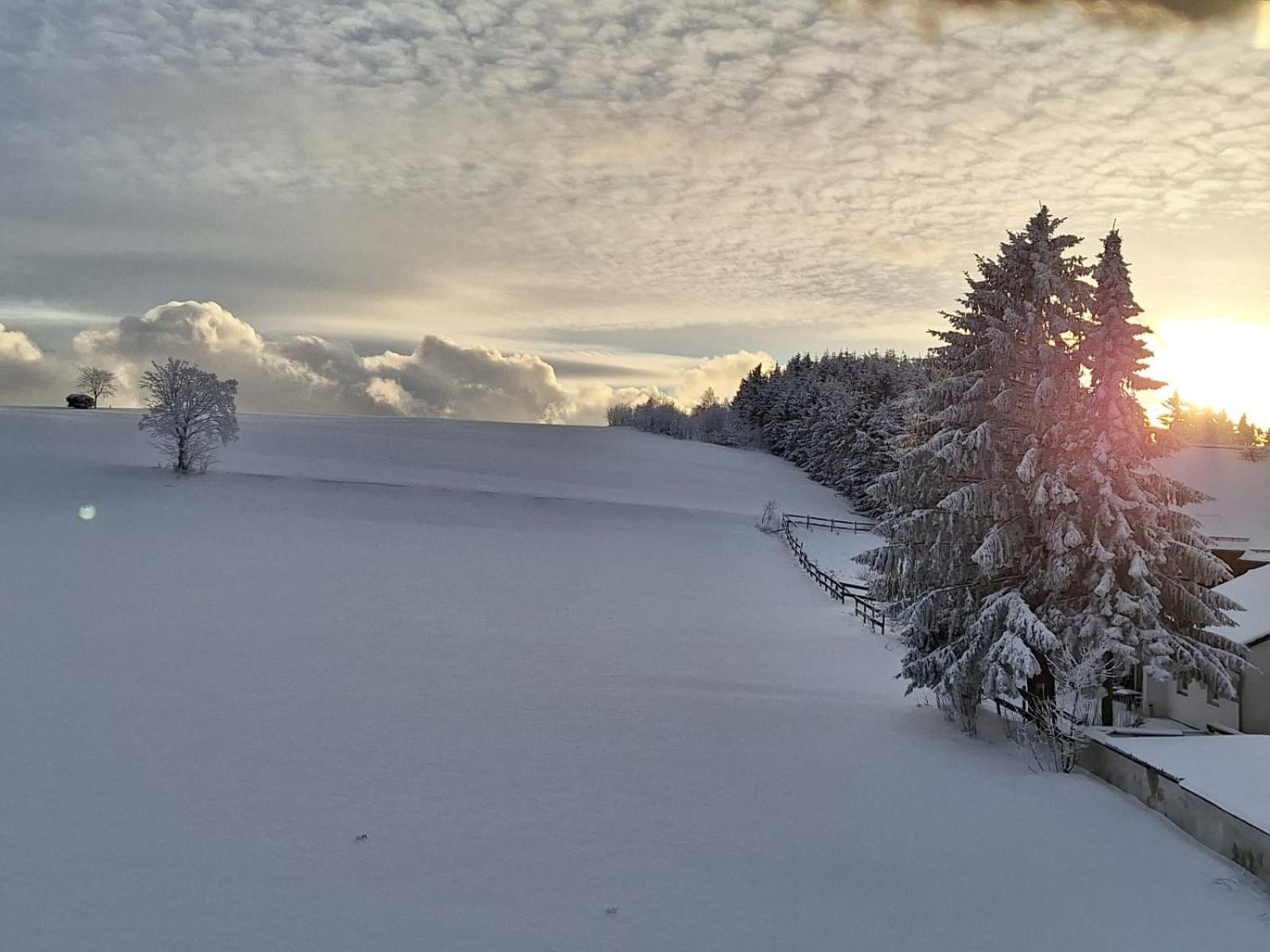Pension Hubertus Winterberg Kültér fotó