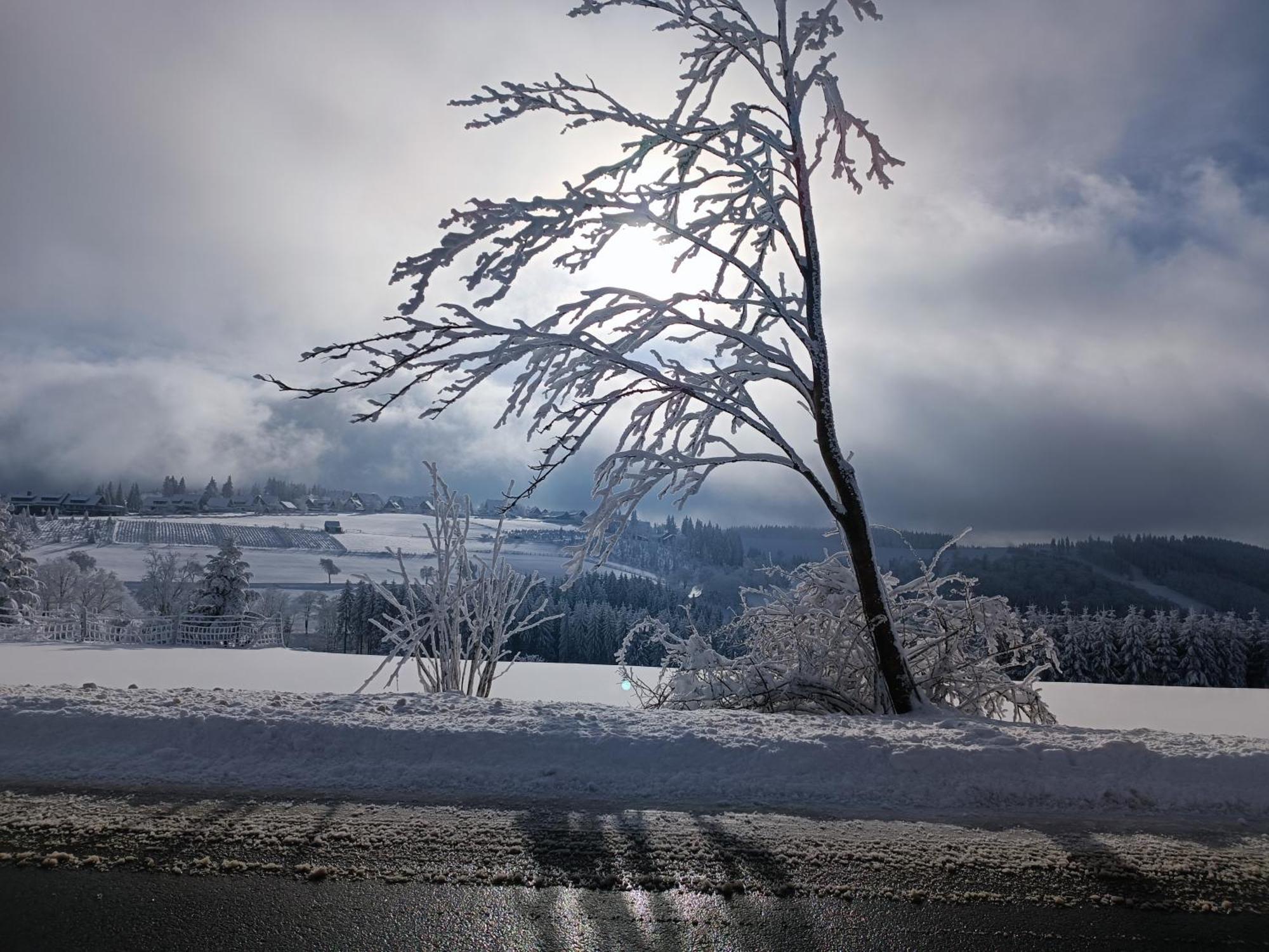 Pension Hubertus Winterberg Kültér fotó