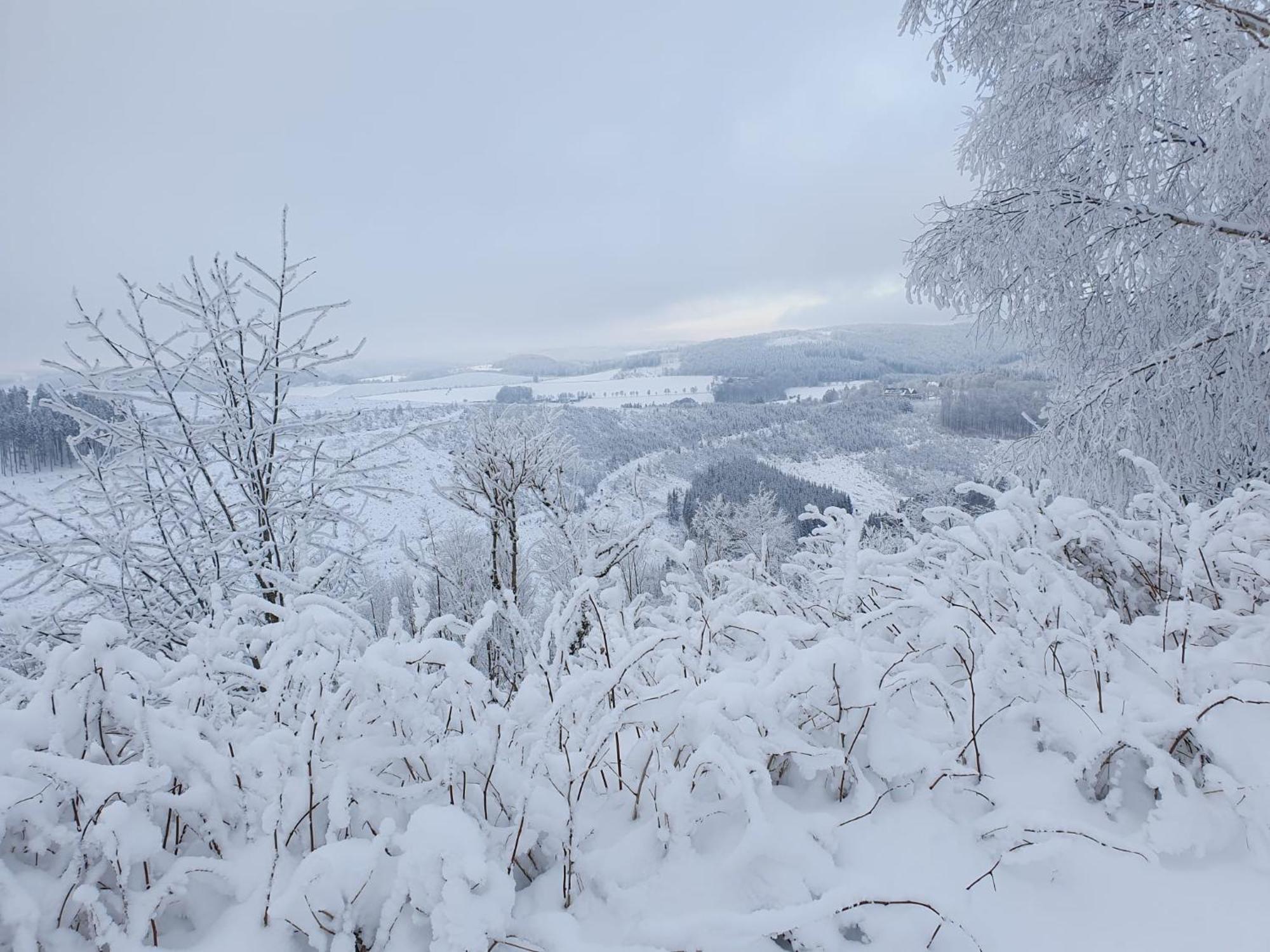 Pension Hubertus Winterberg Kültér fotó