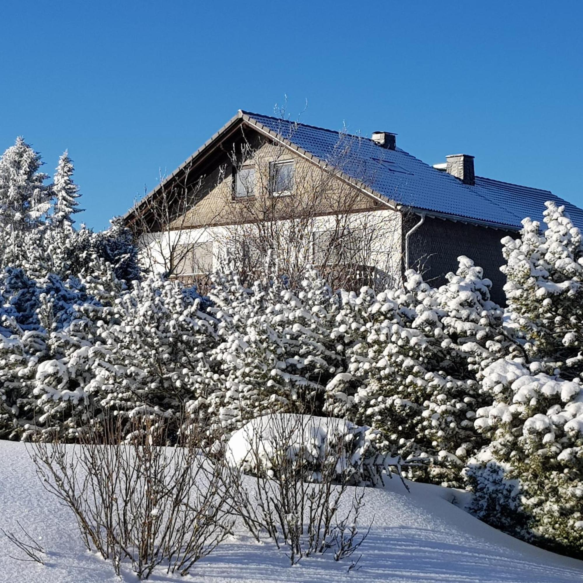 Pension Hubertus Winterberg Kültér fotó