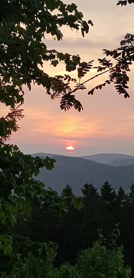 Pension Hubertus Winterberg Kültér fotó