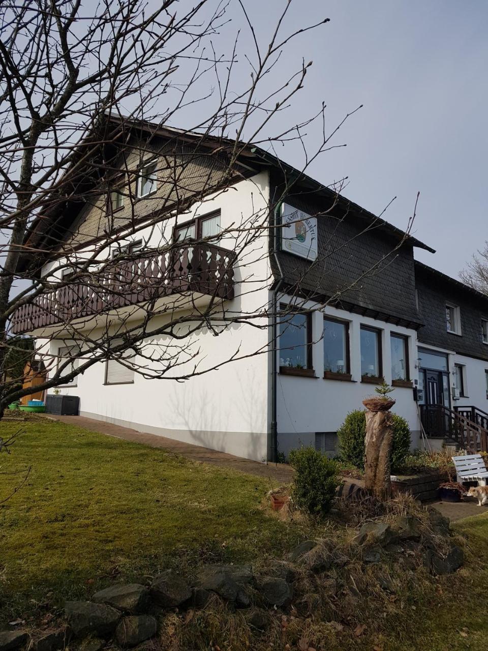 Pension Hubertus Winterberg Kültér fotó