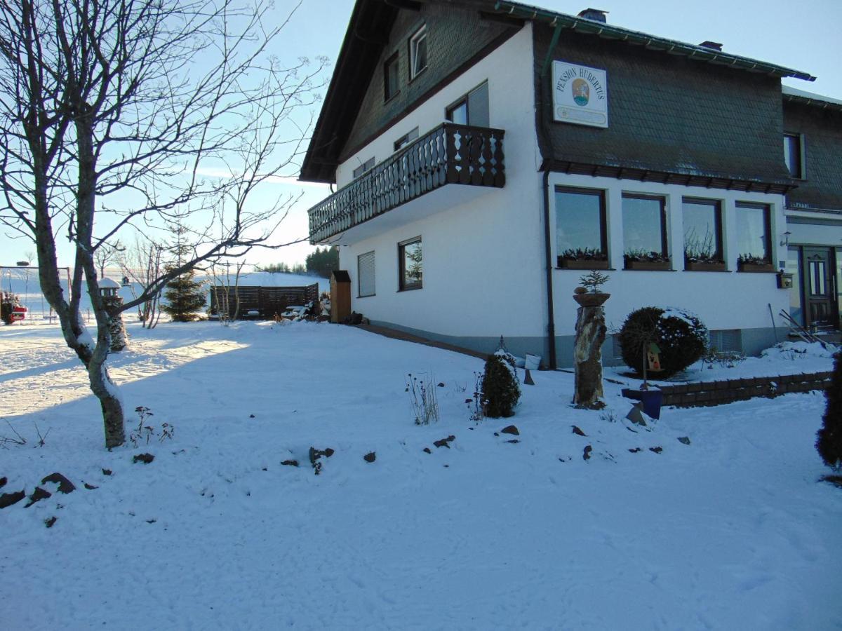 Pension Hubertus Winterberg Kültér fotó